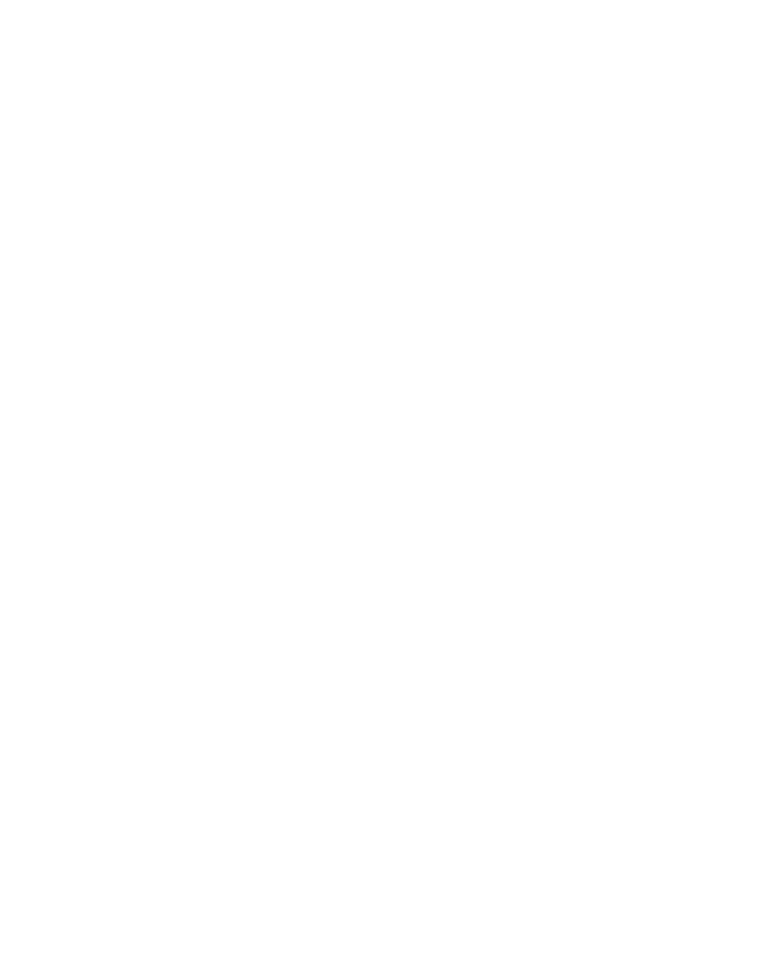 LOGO IAF